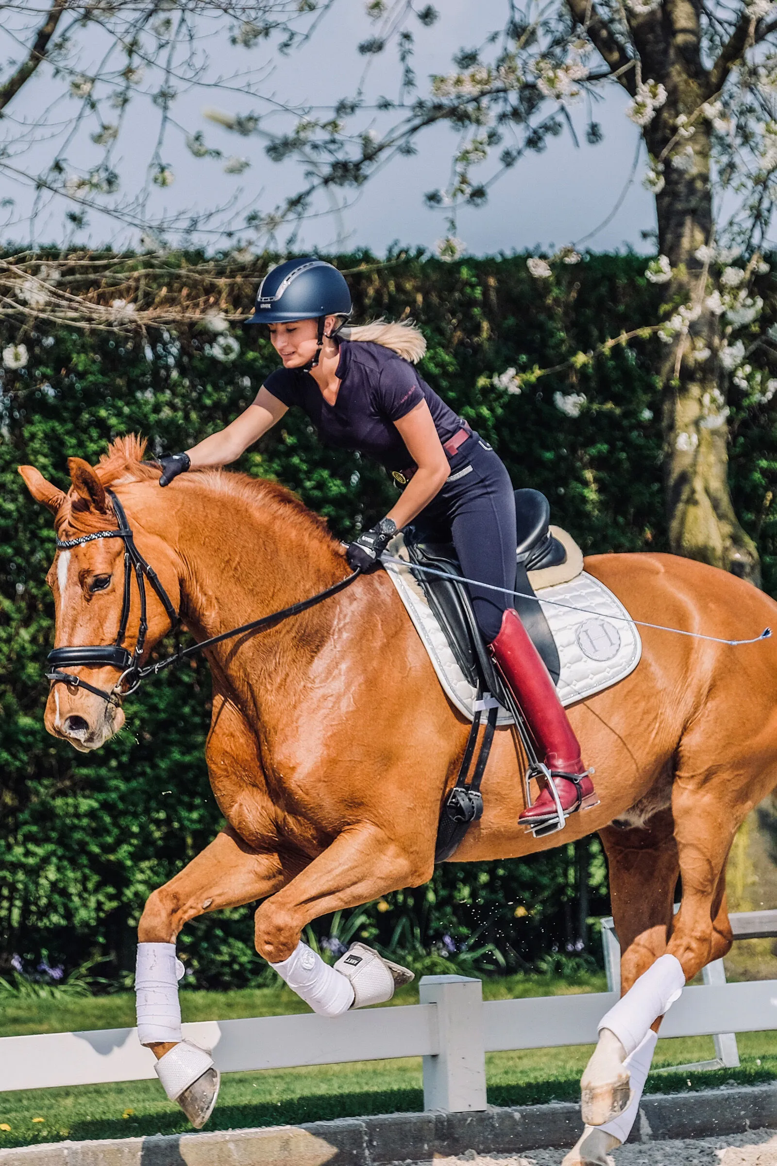 Guanti da equitazione uvex sumair