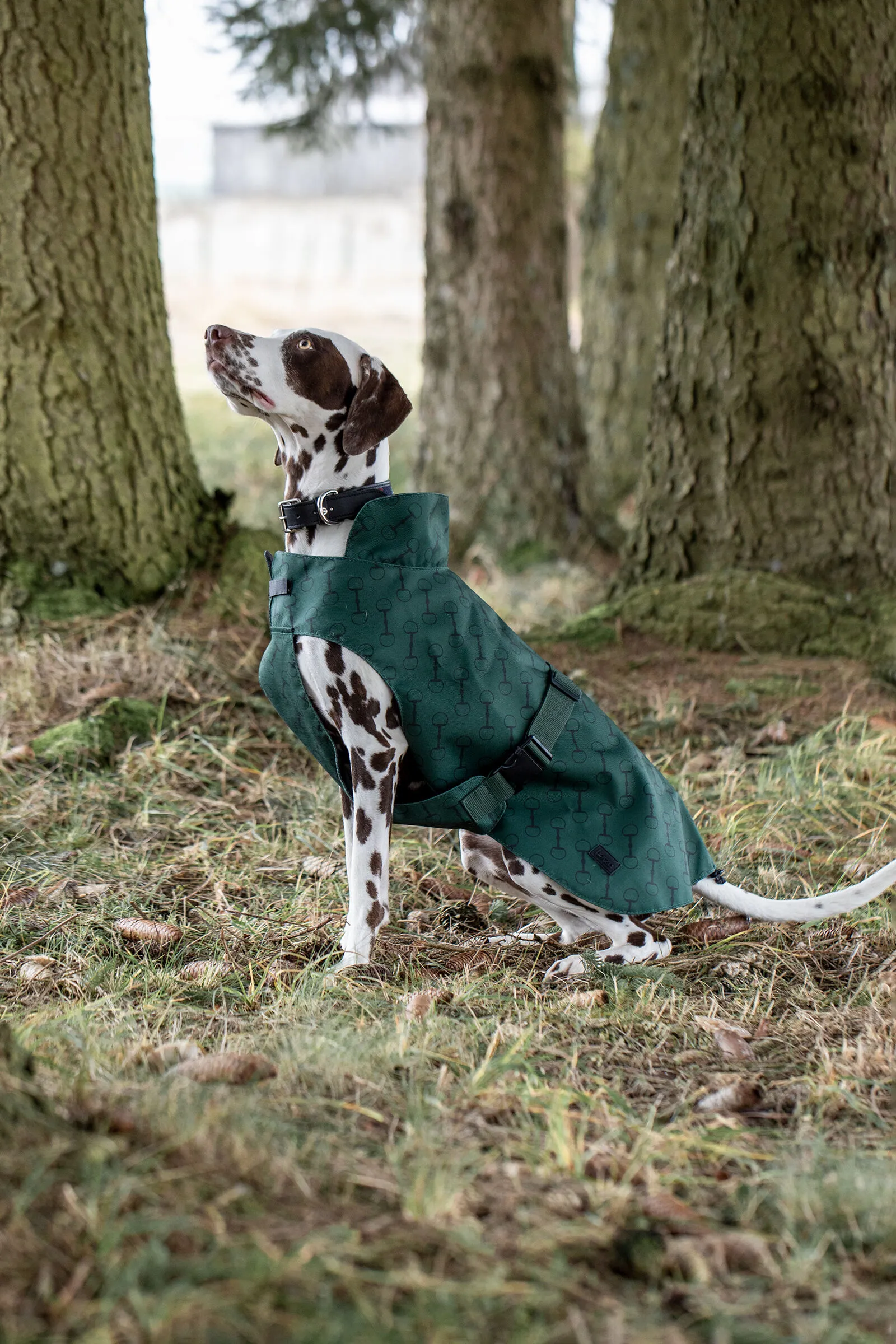 Horze Noir Cappotto per cani con stampa