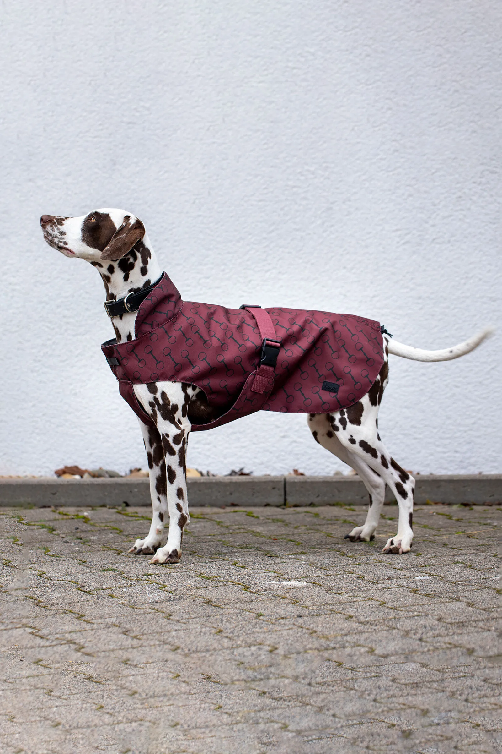 Horze Noir Cappotto per cani con stampa